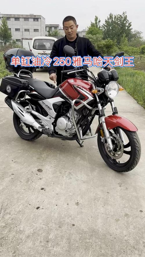 雅马哈天剑王250/雅马哈天剑王250多少钱新车