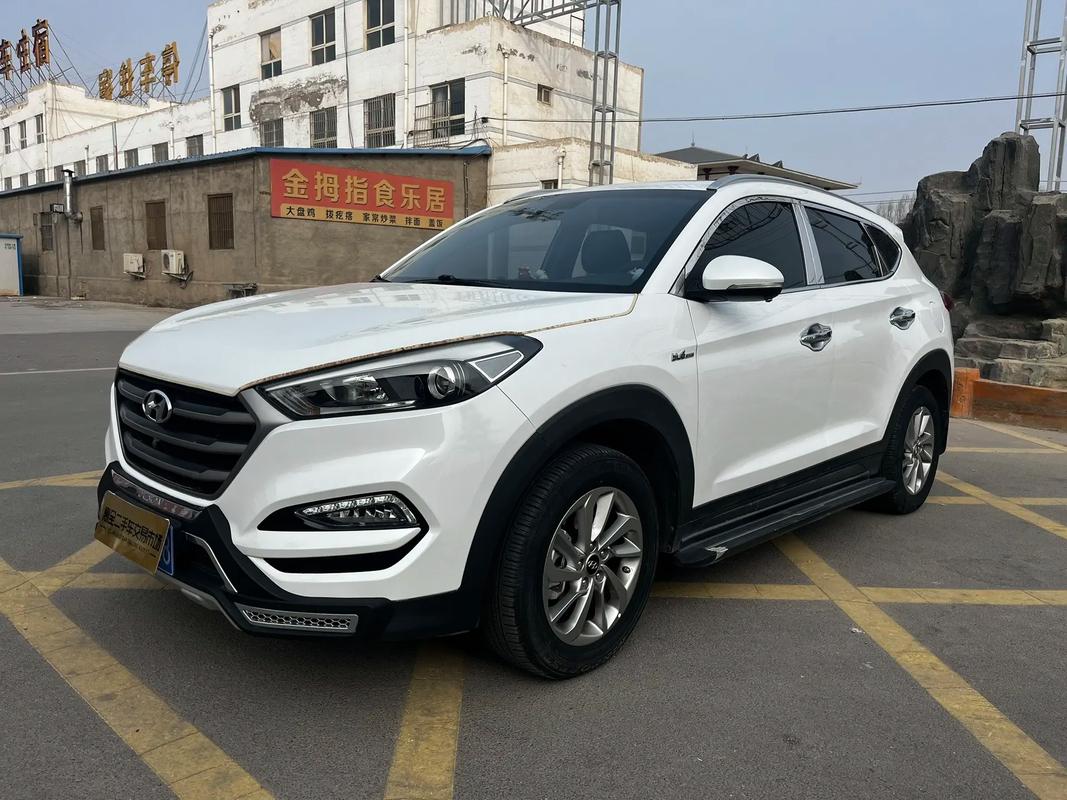 途胜汽车之家 途胜汽车图片