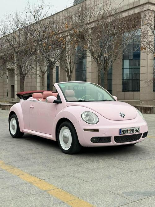 大众敞篷版甲壳虫2024价格,大众敞篷版甲壳虫2024价格多少