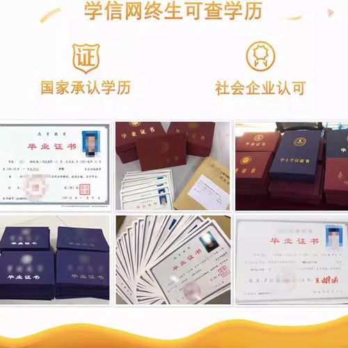 函授和网络教育哪个认可度高/函授和网络教育哪个认可度高些