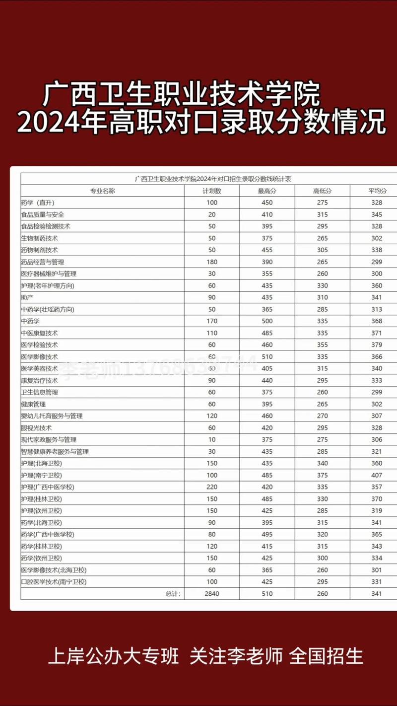 广西卫职院2024录取线(广西卫生职业技术学院录取线)