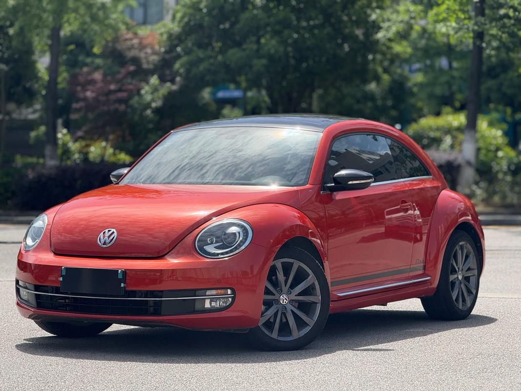 甲壳虫大众图片/甲壳虫大众图片大全