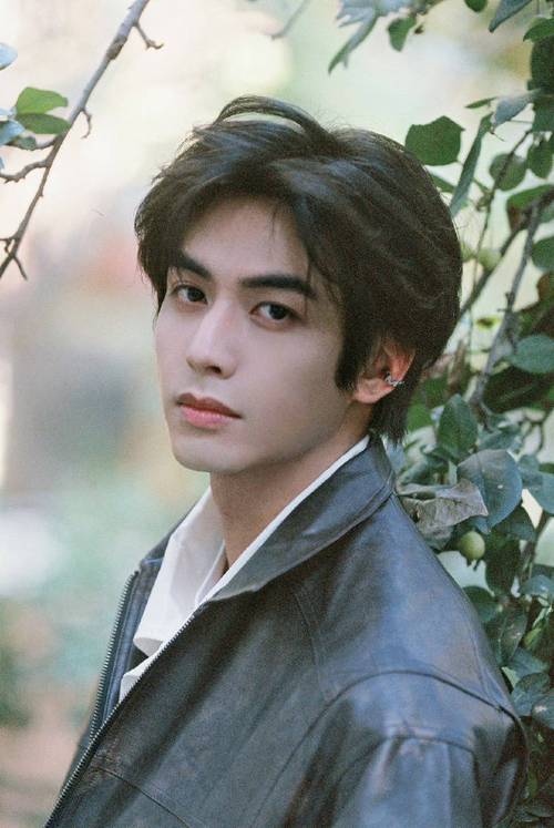 【世界上最帅的人,世界上最帅的人中国人】