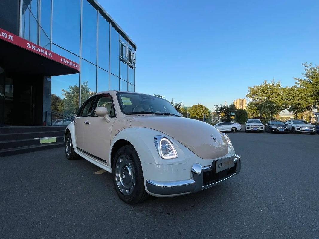 芭蕾猫2024款落地价格,芭蕾猫售价