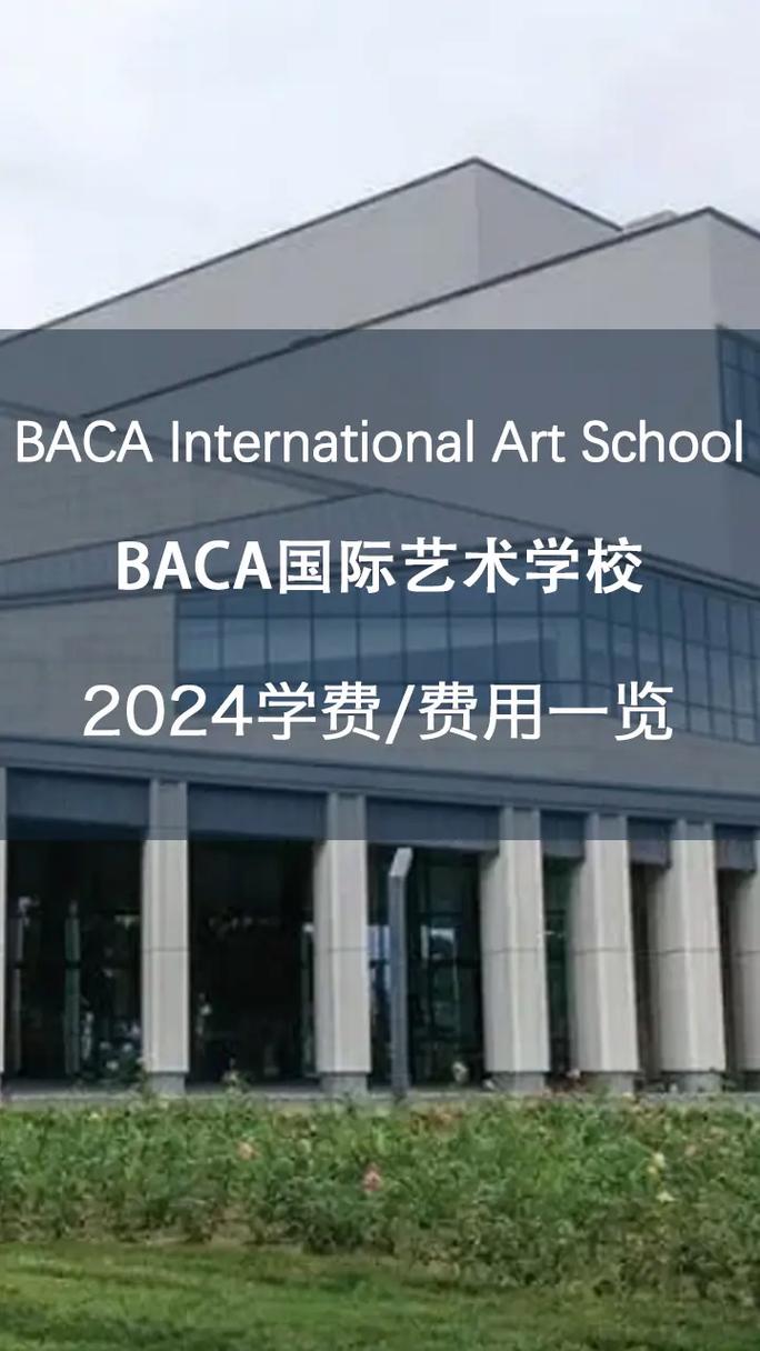 北京国际艺术学校学费(北京国际艺术学校是什么档次)