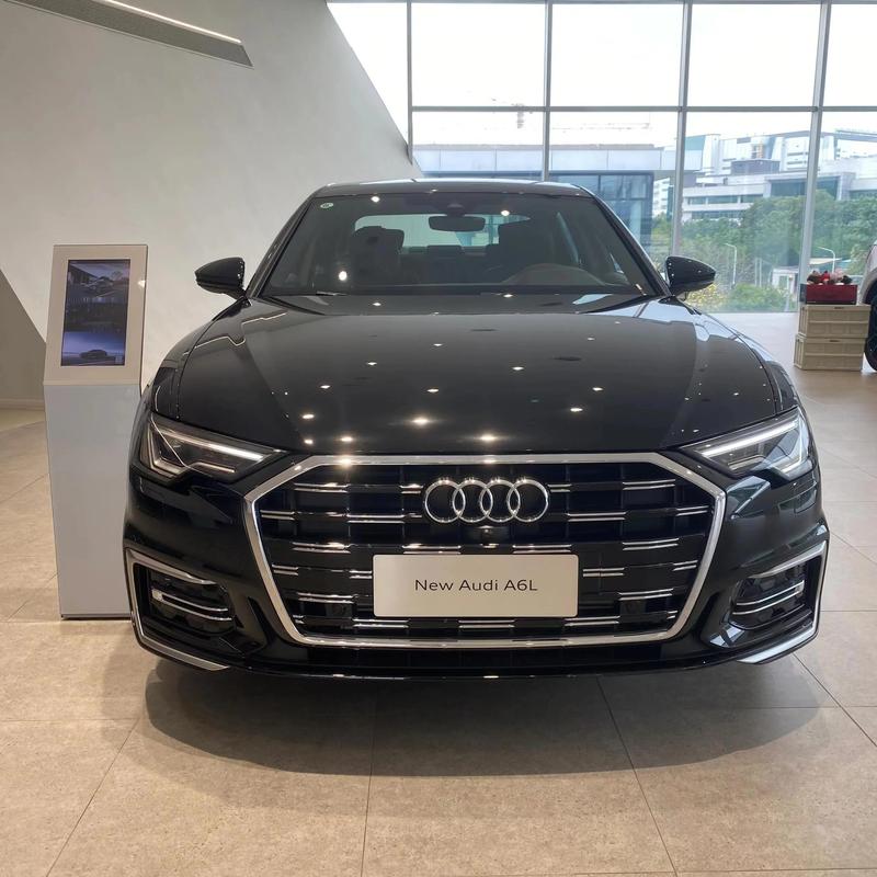 【什么档次的人开奥迪a6l,什么身价开奥迪a6】