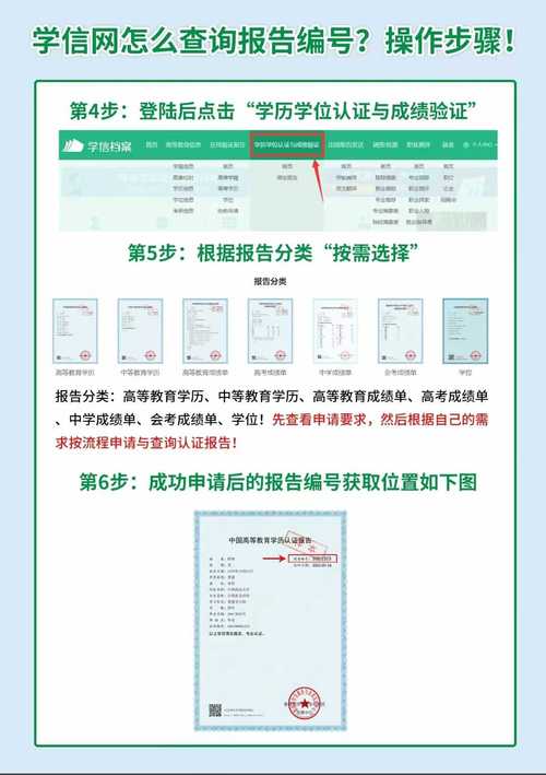 专业代码查询网(怎么查学校专业代码)
