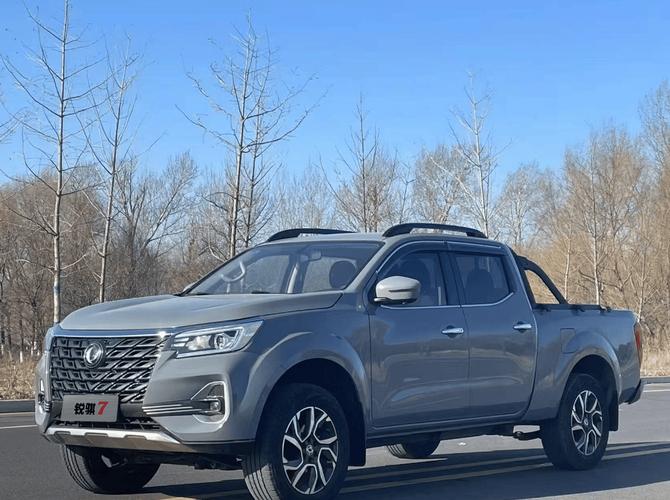 锐骐皮卡7/锐骐皮卡柴油版