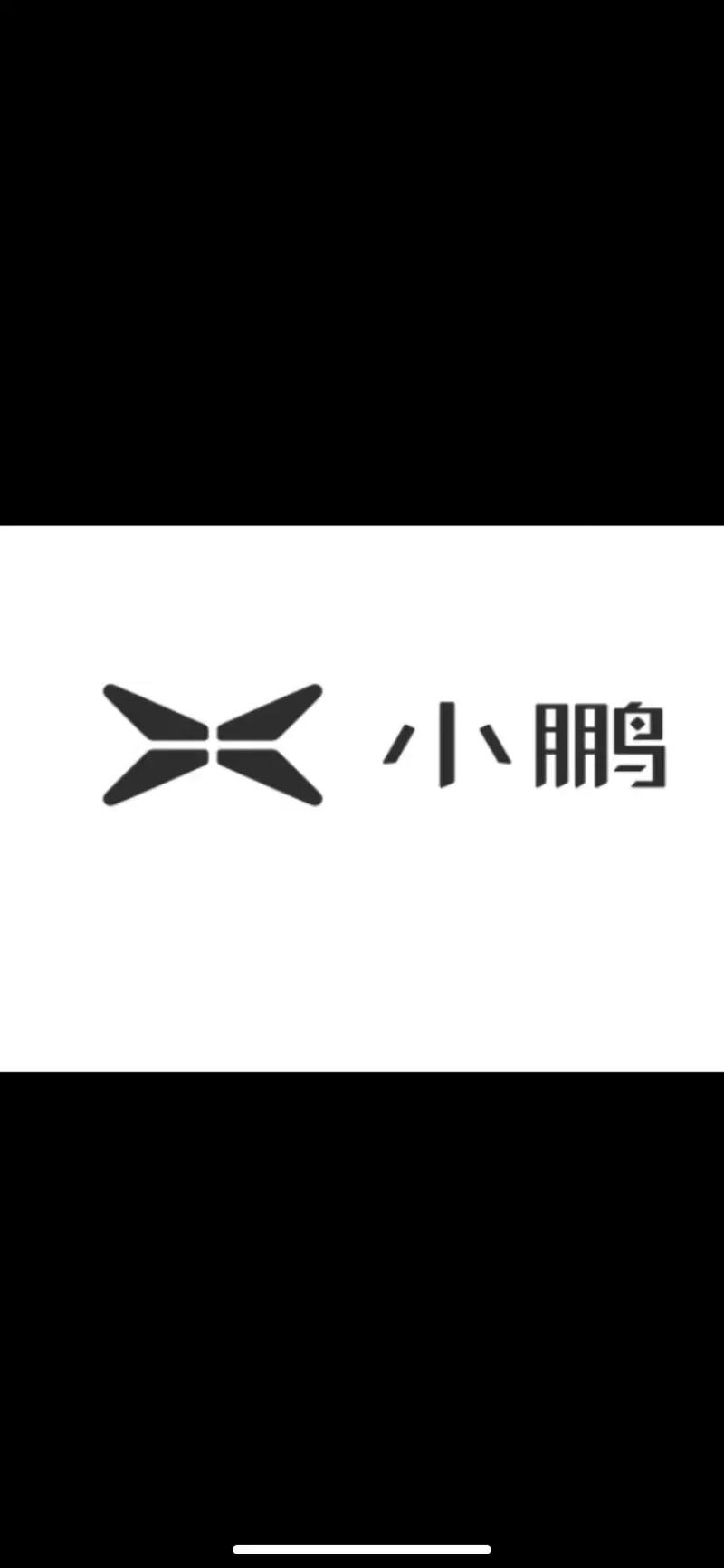 小鹏汽车车标图片,小鹏汽车的车标是什么样子