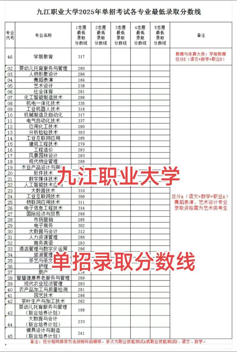 九江职业大学2025单招(江西职业技术大学单招专业)
